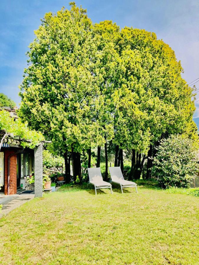 Casa Angiolina - Holidays Morcote Eksteriør billede